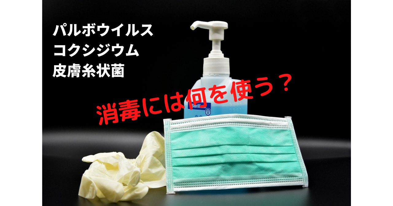 消毒液は何を使う パルボウイルス コクシジウム 皮膚糸状菌 保護猫sos 公式 江東区 Zeroどうぶつクリニック 西大島駅近く